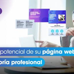 Consultoría Web